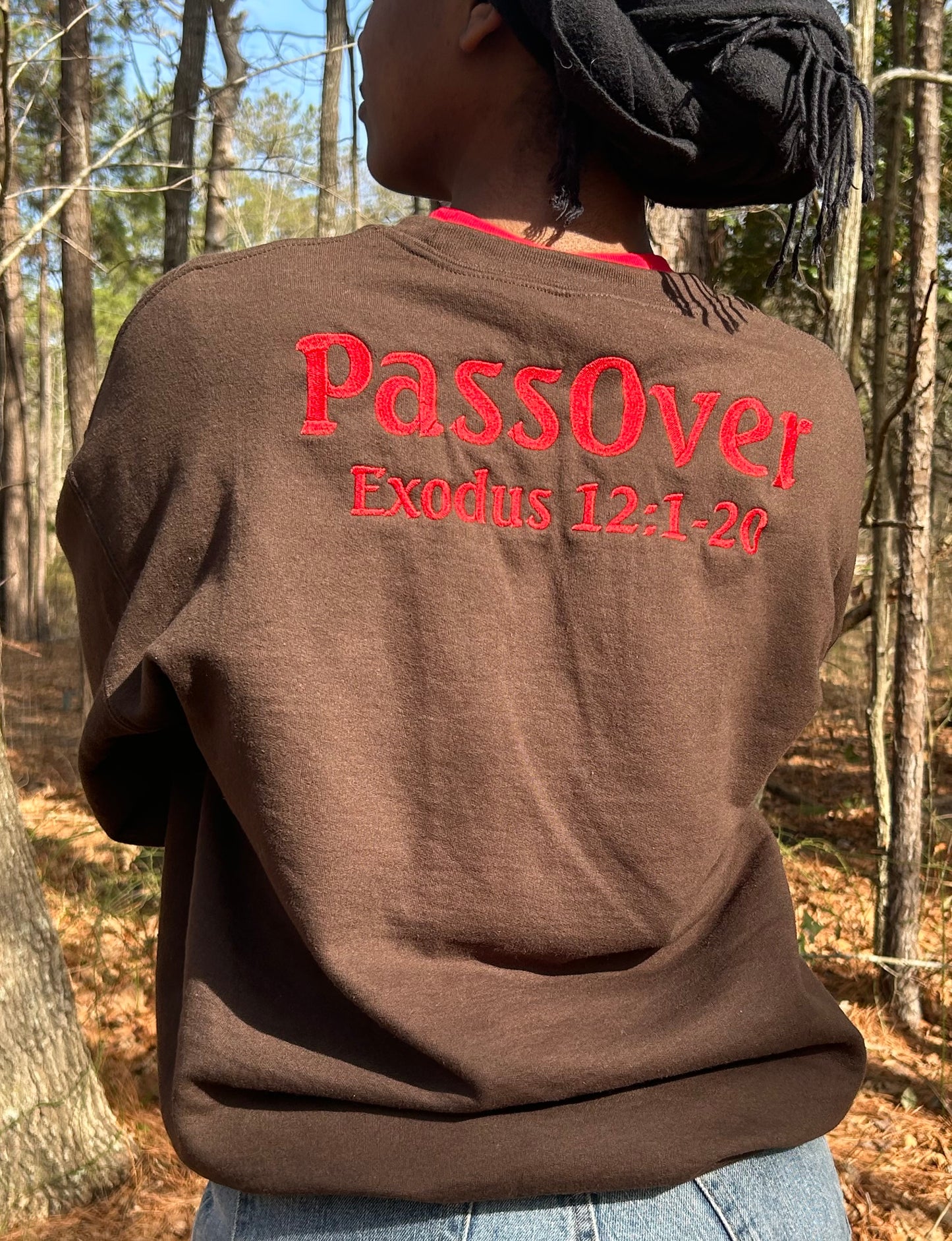 Passover sweatshirts